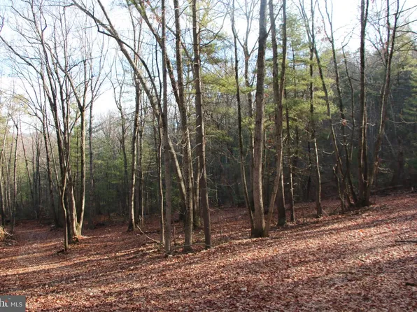 Valley Burg Rd, Luray, VA 22835