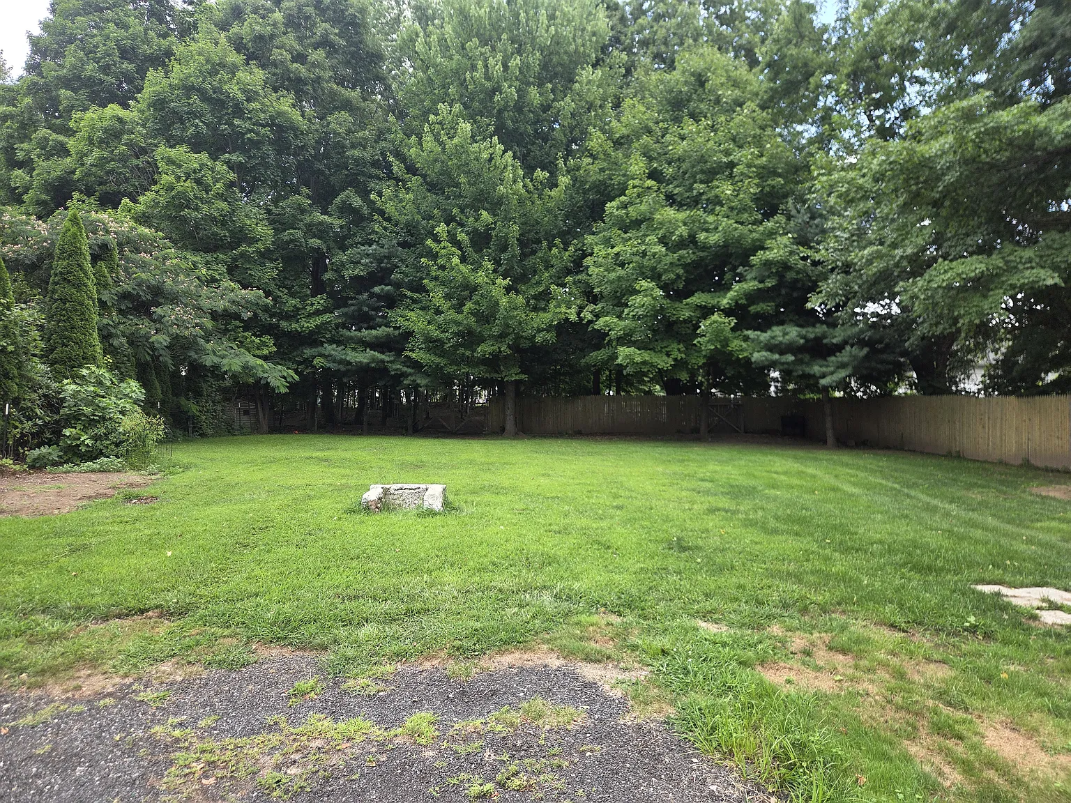 3 bed, 1.5 bath, 1200 sqft, $2,850 — Photo 3