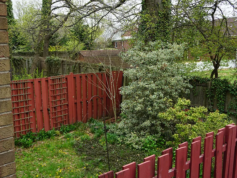 Phelps Ave — Photo 15