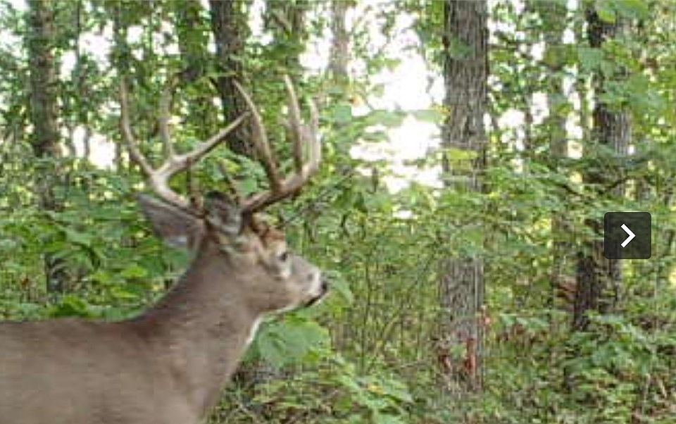 1st image of XX151 River Road