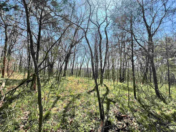 51 Bluff Rd, Hardy, AR 72542