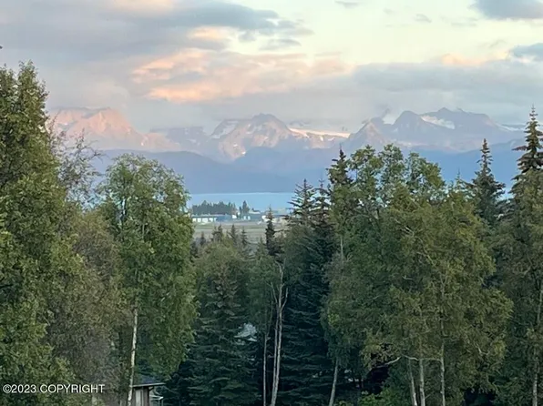 1131 Father Dean Ct, Homer, AK 99603