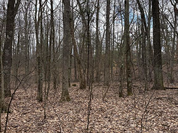 4th image of 0 E Skeels Rd