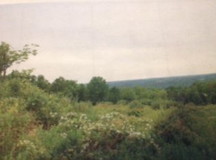 0 Cherry Lndg, Hector, NY 14841