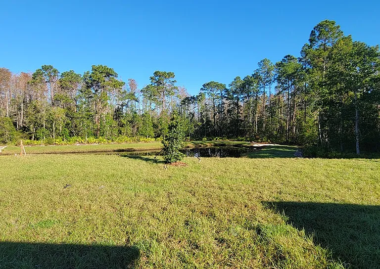 10083 Gentle Rain Dr — Photo 23