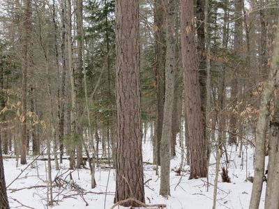 0 Algonquin Ln, Jay, NY, 12941