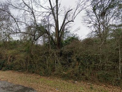 300 Blk Tyler Ln, Cantonment, FL, 32533