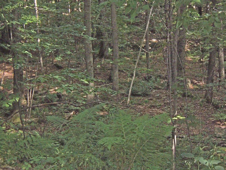 1st image of [1800-1999 Lake Ariel Hwy
