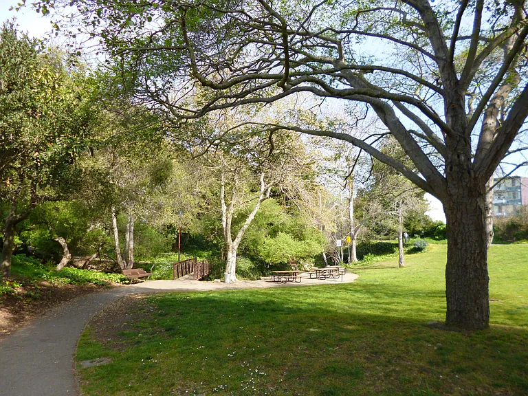 Strawberry Creek Park in the Neighborhood