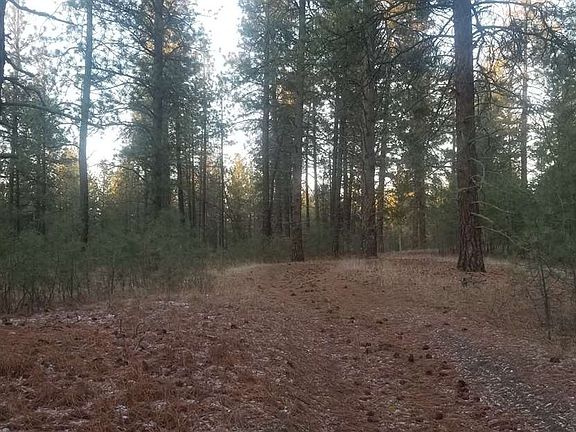 4th image of 0 W Buckboard Ave Lot 3