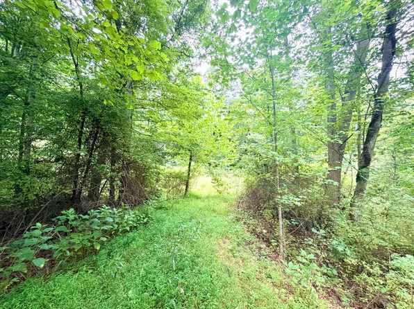 Lansing Edmond Rd, Edmond, WV 25837