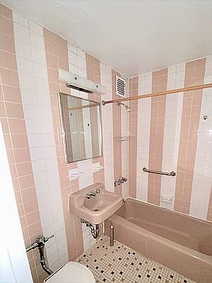 2nd image of 520 E 88th St #1F