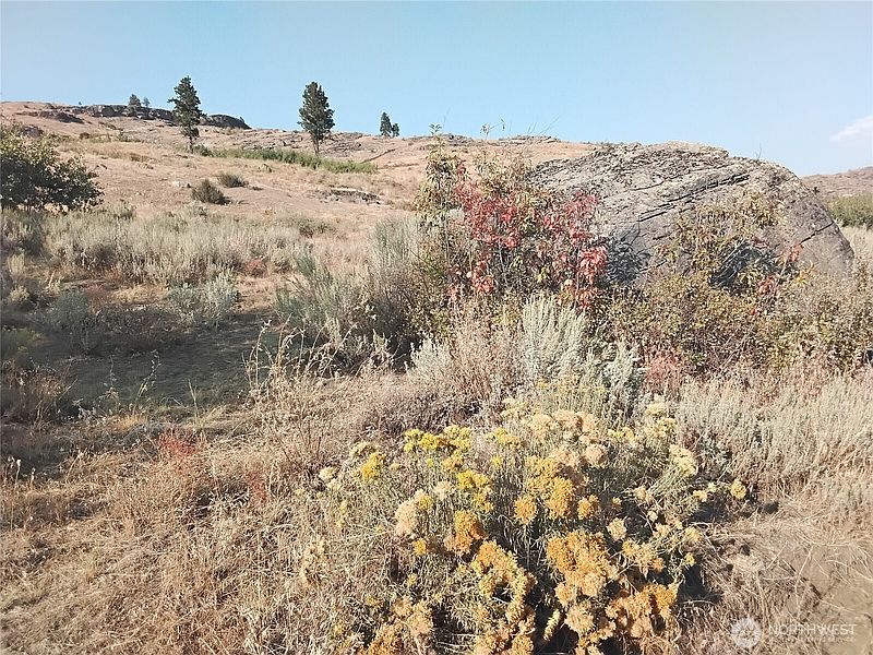 5th image of 4 Painted Rock Road