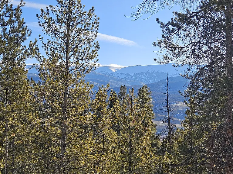 another view from patio