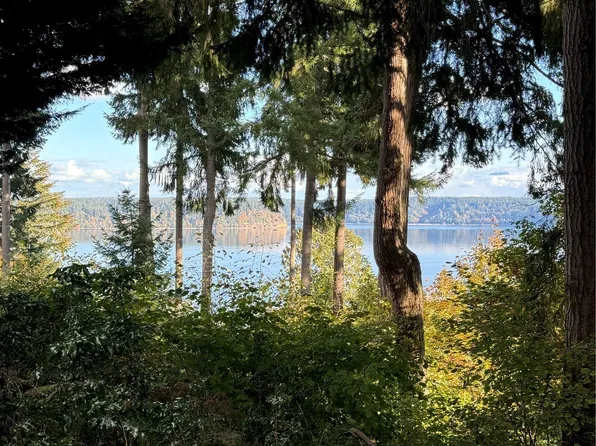 10507 Seaview Drive, Anderson Island, WA 98303