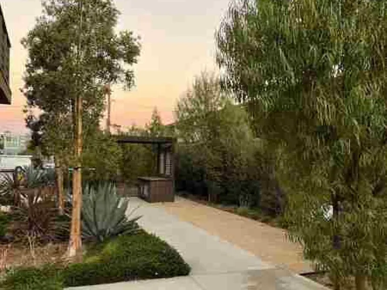 2825 Lily Ln — Photo 19