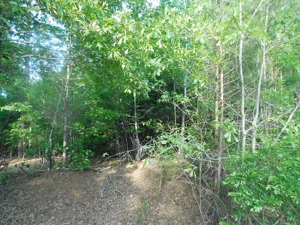 2nd image of 0 Parton Drive