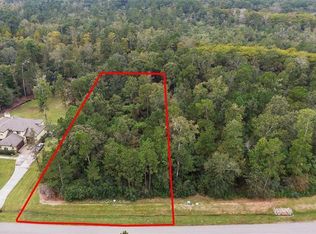 27414 Shady Hills Landing Ln, Spring, TX 77386