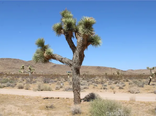 60337 Belfair Drive, Joshua Tree, CA 92252