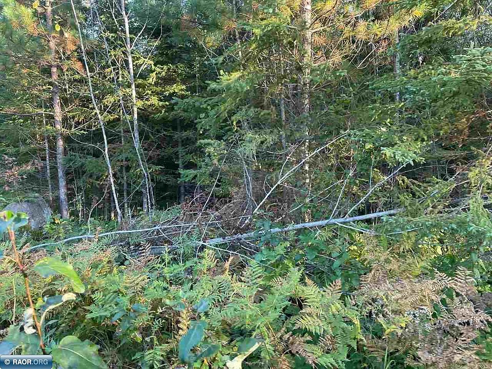 2nd image of TRACT 4 State Highway 666