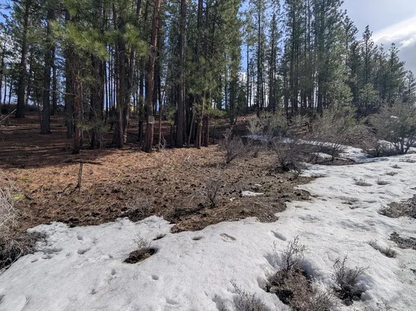 Choptie Dr #18, Chiloquin, OR 97624