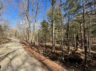 L-10 14th Rd, Minerva, NY 12851