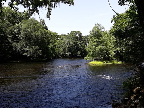 View from the back deck