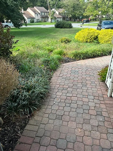 2 bed, 1841 sqft, $2,300 — Photo 2