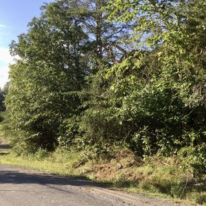 Pine Lake Rd, Battle Creek, MI, 49014