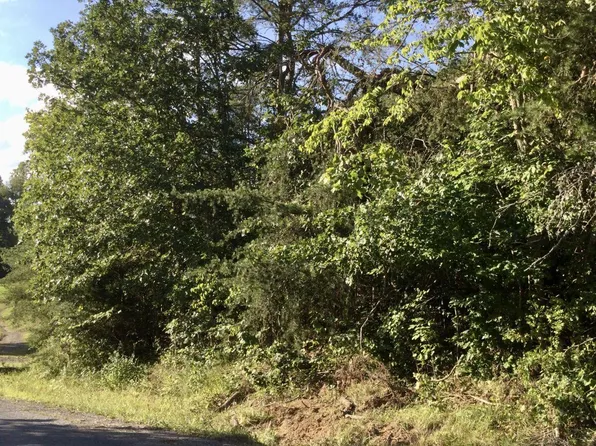 Pine Lake Rd, Battle Creek, MI 49014