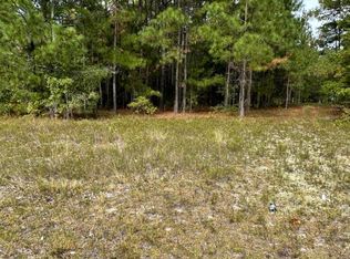 165 Blues Bridge Rd, Hoffman, NC 28347