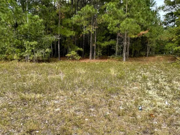 165 Blues Bridge Road, Hoffman, NC 28347