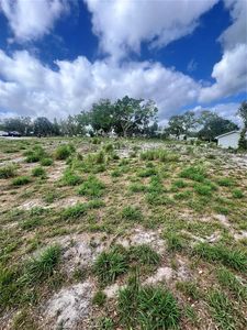 Park Dr Lot 1, Babson Park, FL, 33827