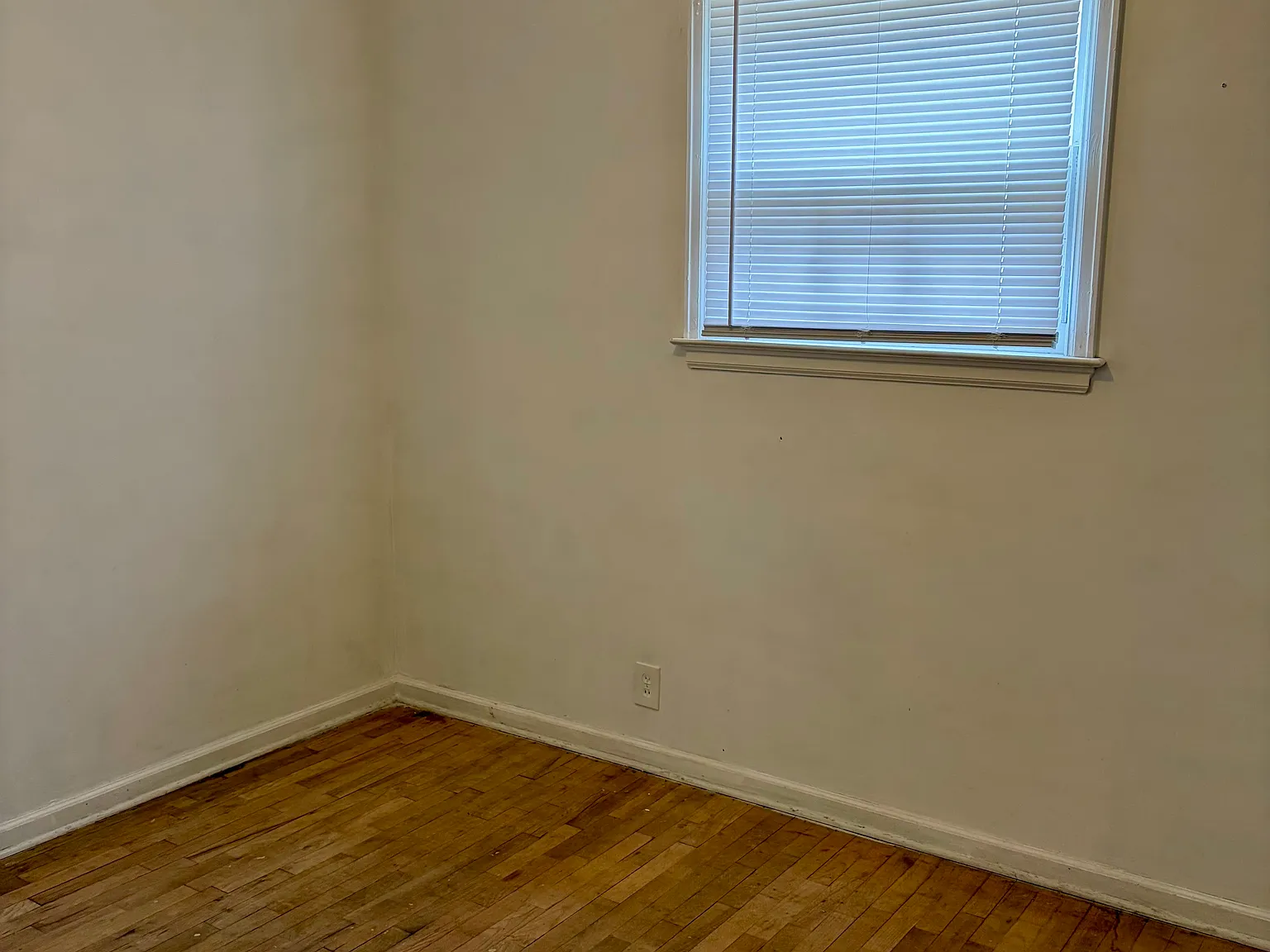 3 bed, 1.5 bath, 1550 sqft, $1,000 — Photo 4