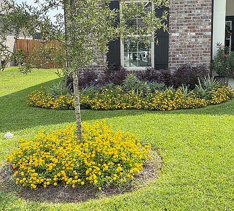 2nd image of 225 Hydrangea Blvd