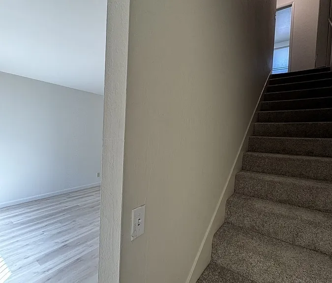 1146 Pierce St #3 — Photo 5