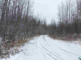 X Forest Rd #409, Two Harbors, MN 55616