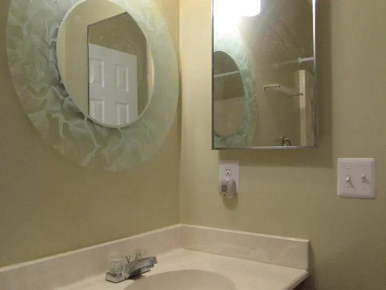 3002 Henson Bridge Ter — Photo 10