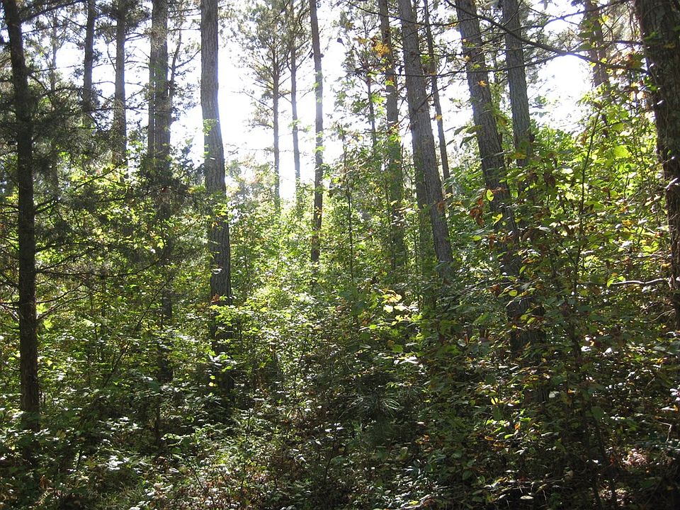 2nd image of LOT 37 Anna Ln