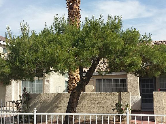 MATURE TREES