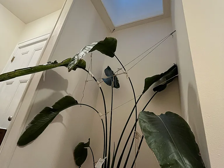 809 Cathedral St #5 — Photo 23