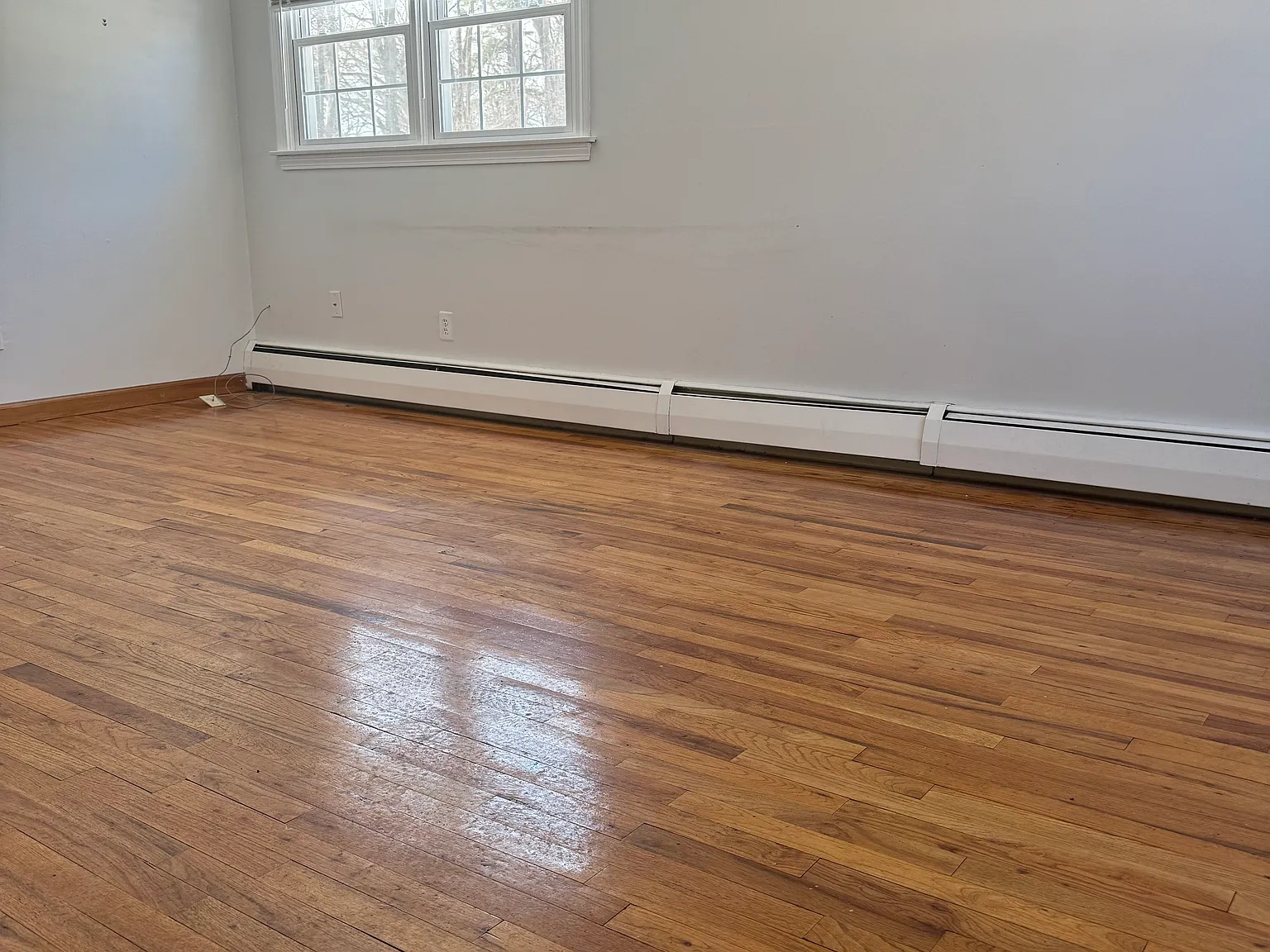 3 bed, 1.5 bath, 1128 sqft, $2,500 — Photo 3
