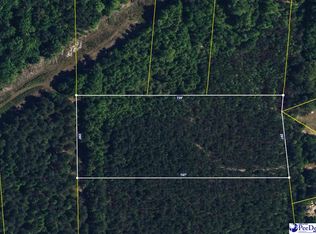 4.87 Acres Tract #B2, Pamplico, SC 29583