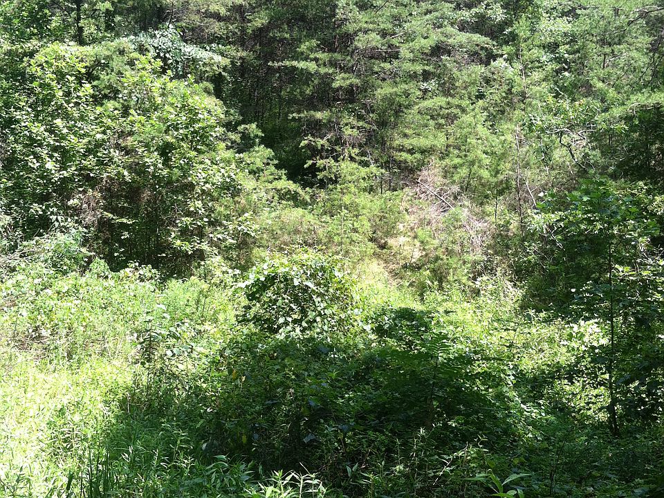 1st image of Devil's Fork Rd