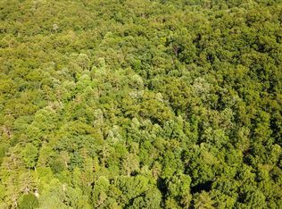 1919 Walnut Flats Rd, Walland, TN 37886