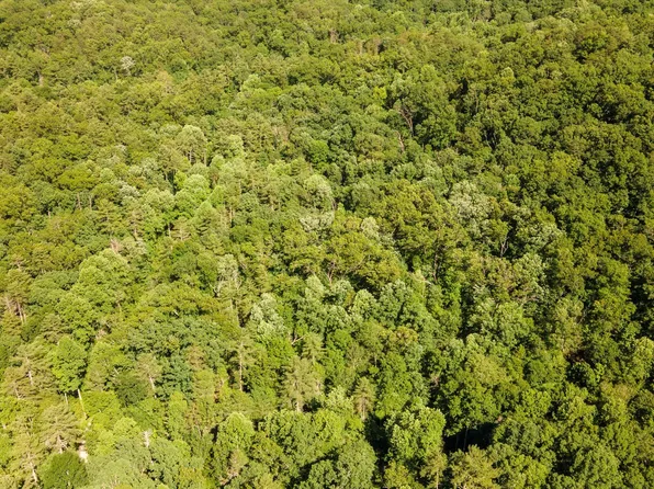 1919 Walnut Flats Rd, Walland, TN 37886