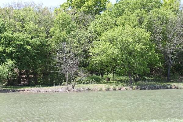 View from the boat ramp