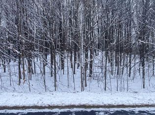 LOT 178 Clearview Dr LOT 178, Bellaire, MI 49615