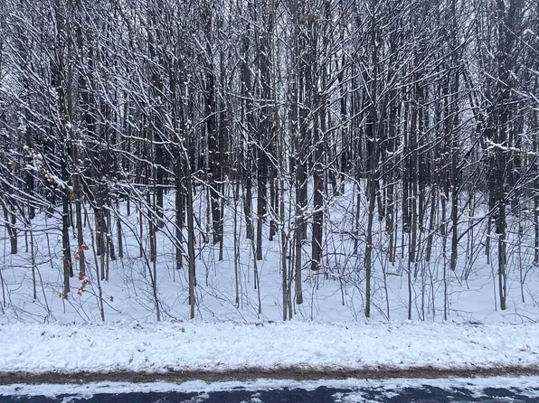 LOT 178 Clearview Dr Lot 178, Bellaire, MI 49615