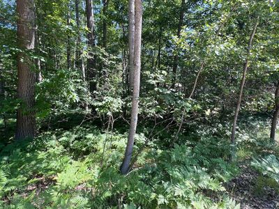 37-39 Pingree St, Roscommon, MI, 48653